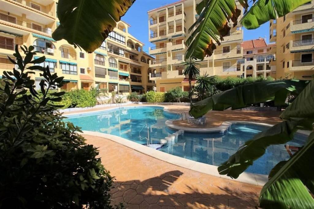 Apartament Studio, La Mata , Torrevieja, Vinamar 3 Eksteriør billede